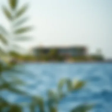 The ecological richness surrounding Alnoor Island, highlighting biodiversity