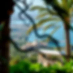 A panoramic view of Alnoor Island showcasing lush greenery and architectural splendor