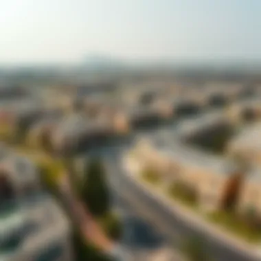 Aerial view of a luxurious residential neighborhood in Dubai