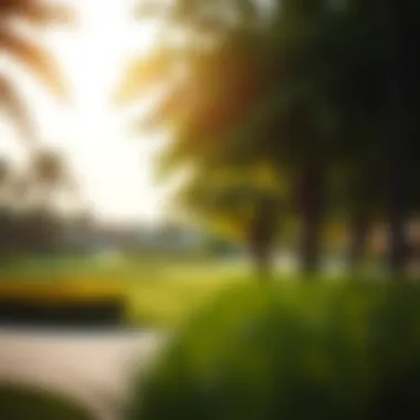 Scenic park in Arabian Ranches