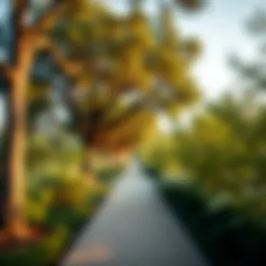 A serene pathway lined with trees, leading through the park's vibrant ecosystem