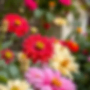 Close-up of unique floral species cultivated within the gardens, emphasizing horticultural diversity