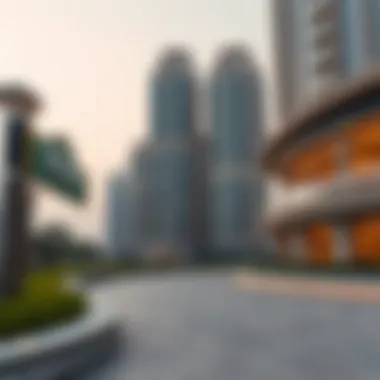 Cultural impact of palace towers on Dubai's real estate market