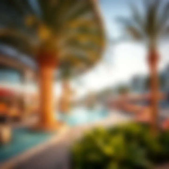 Vibrant lifestyle amenities available in Jumeirah Bay residential areas