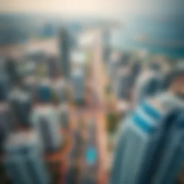 Aerial view of Dubai showcasing diverse real estate options