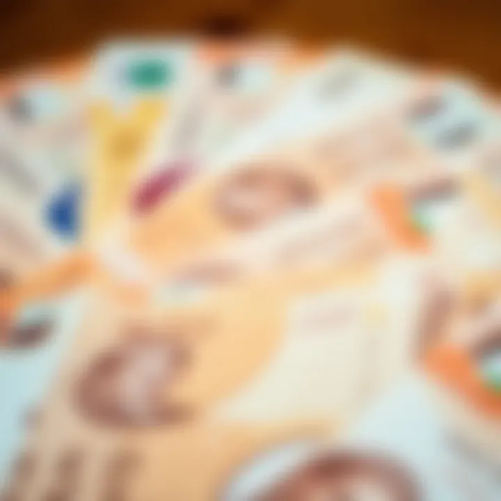 A close-up of various AED banknotes laid out attractively.