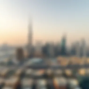 Dubai Skyline Overview Overview of Dubai skyline representing the location